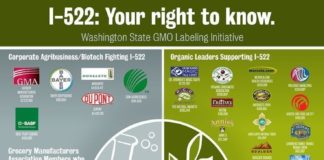 Food infographic – Food infographic – Food infographic Food infographic Food infographic Biotech Attack GMO Labelin