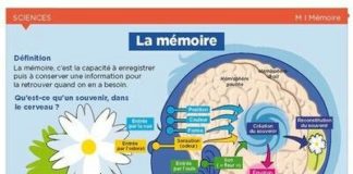 Educational infographic :