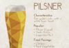 Food infographic – Food infographic – Food infographic Food infographic Pilsner Beer characteristics food pairings p