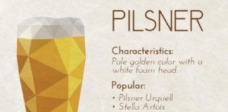 Food infographic – Food infographic – Food infographic Food infographic Pilsner Beer characteristics food pairings p