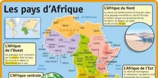 Educational infographic : Educational infographic : Fiche exposés : Les pays d’Afrique…