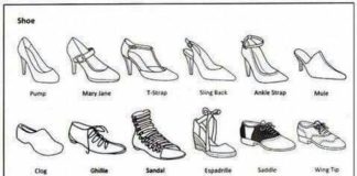 Fashion infographic :