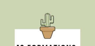 Business infographic : 10 formations gratuites : web, référencement & graphisme