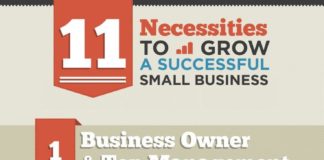 Business infographic : 11 Necessities To Grow A Successful Small Business