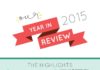 Business infographic : 2015: A Year in Review