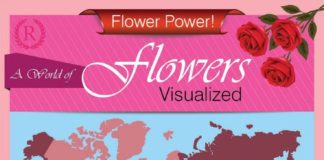 Business infographic : 22+ Great Promotional Ideas For Your Fake Flower Business
