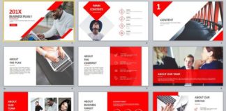Business infographic : 30+ Best Red business Plan PowerPoint template