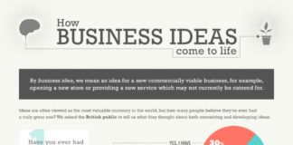 Business infographic : 6 Things to Evaluate a Business Idea (Video + Infographic)