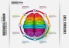 Business infographic : Business Infographics Brain Vector , #affiliate, #line#connected#flow#thin #Ad