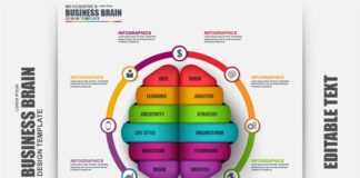 Business infographic : Business Infographics Brain Vector , #affiliate, #line#connected#flow#thin #Ad