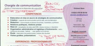 Business infographic : CV chargé de communication