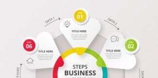 Business infographic : Colorful vector infographic designs Vector | Free Download
