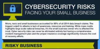 Business infographic : Cyber Security Risks Facing Your Small Business