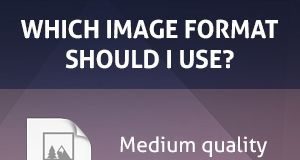 Business infographic : Image File Types Explained: Which Format Should You Use?