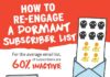 Digital Marketing : How to Re-Engage A Dormant Subscriber List