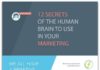 Digital Marketing : Infographic: Facts about the human brain communicators need to know | Articles |…
