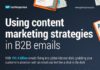Digital Marketing : Infographic: Using Content Marketing Strategies in B2B Emails #infographic