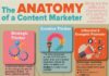 Digital Marketing : L'anatomie du Content Marketeur