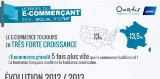 Digital Marketing : L'e-commerce français a progressé de 13,5% en 2013. Mais quel est le profi…