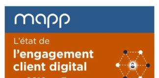 Digital Marketing : L’usage des emails, des applications et des réseaux sociaux par les entreprises du e-commerce