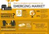 Digital Marketing : Tips for Investing in Emerging Markets (Infographic)