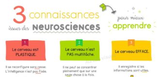 Educational infographic : 3 connaissances issues des neurosciences pour mieux apprendre { synthèse illustrée } – ⇥ Aurelia Visuels ⇤