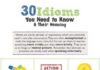 Educational infographic : 30 Idioms You Need to Know & Their Meaning (Infographic)