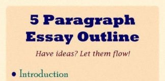 Educational infographic : 5 Paragraph Essay Outline