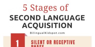 Educational infographic : 5 Stages of Second Language Acquisition + Infographic