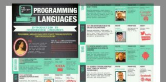 Educational infographic : A Brief History of Computer Programming Languages; How to Choose Which One to Learn