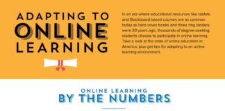 Educational infographic : Adapting to Online Learning Infographic