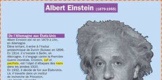 Educational infographic : Albert Einstein (1879-1955)