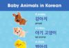 Educational infographic : Baby Animals in Korean #korean #hangul #learnkoreanfast #animals