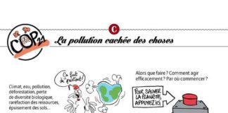 Educational infographic : Causette – le magazine plus féminin du cerveau que du capiton – Le mag