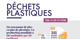 Educational infographic : Comment le véganisme m’a amenée au zéro déchet [+INFOGRAPHIE