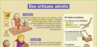 Educational infographic : Des artisants adroits