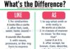 Educational infographic : Difference between Like and As
