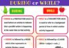 Educational infographic : During vs While