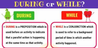 Educational infographic : During vs While