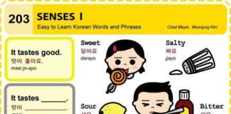 Educational infographic : Educational infographic : 203 Senses I