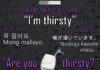 Educational infographic : Educational infographic : Educational infographic : How do you say Im thirsty & Are you thirsty? in your l…