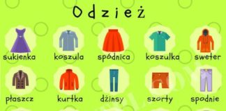 Educational infographic : Educational infographic : Educational infographic : #polish #foreign_language #polish_language #infographi…