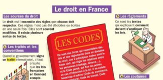 Educational infographic : Educational infographic : Fiche exposés : Le droit en France