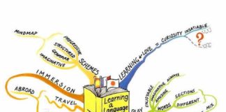 Educational infographic : Educational infographic : Image detail for -Language Learning