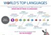 Educational infographic : Educational infographic : Infographic on #World top 10 #languages out of 6,900 spoken languages!