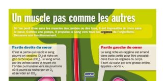 Educational infographic : Educational infographic : Infographie Le Petit Quotidien – extraite de la VS “Prends soin de ton cœur pou…