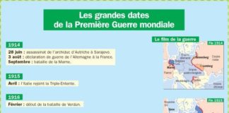 Educational infographic : Educational infographic : Les grandes dates de la première Guerre Mondiale