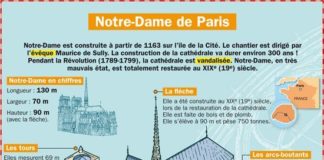 Educational infographic : Educational infographic : Notre Dame de Paris