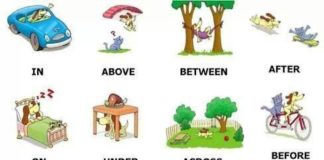 Educational infographic : Educational infographic : Prépositions de situations