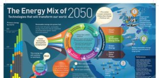 Educational infographic : Educational infographic : Student Infographic Contest Paints Bright Picture of Youth Concern on Energy and Climate